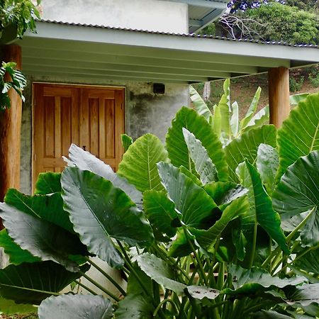 Casa Salvaje Vacation Rentals Bocas del Toro Exterior photo